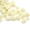 2 Box Oral Pro Dental Temporary Crown Material