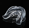 Transparent Plastic Autoclavable Denture Tray